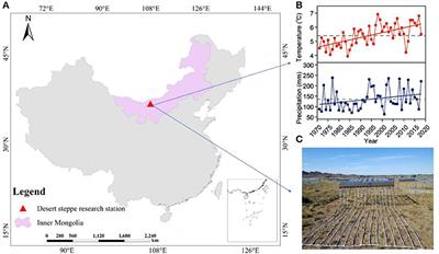 Precipitation Variability Affects Aboveground Biomass Directly and Indirectly via Plant Functional Traits in the Desert Steppe of Inner Mongolia, Northern China